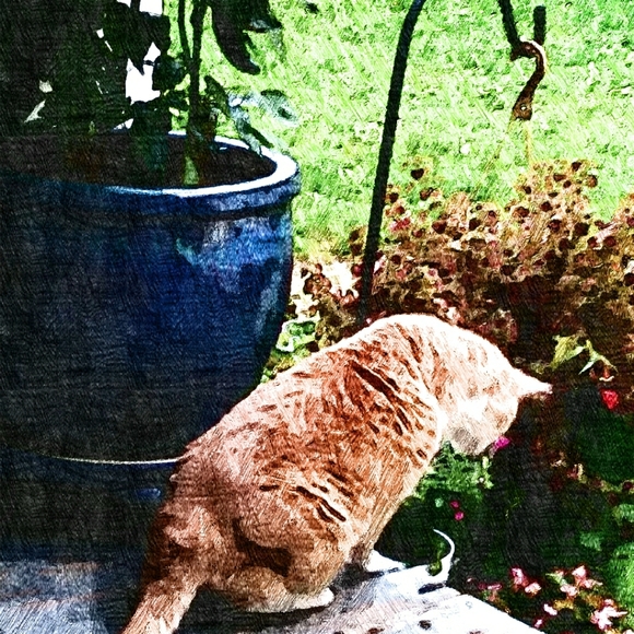 Meet your Posher, Tee - Picture 1 of 1